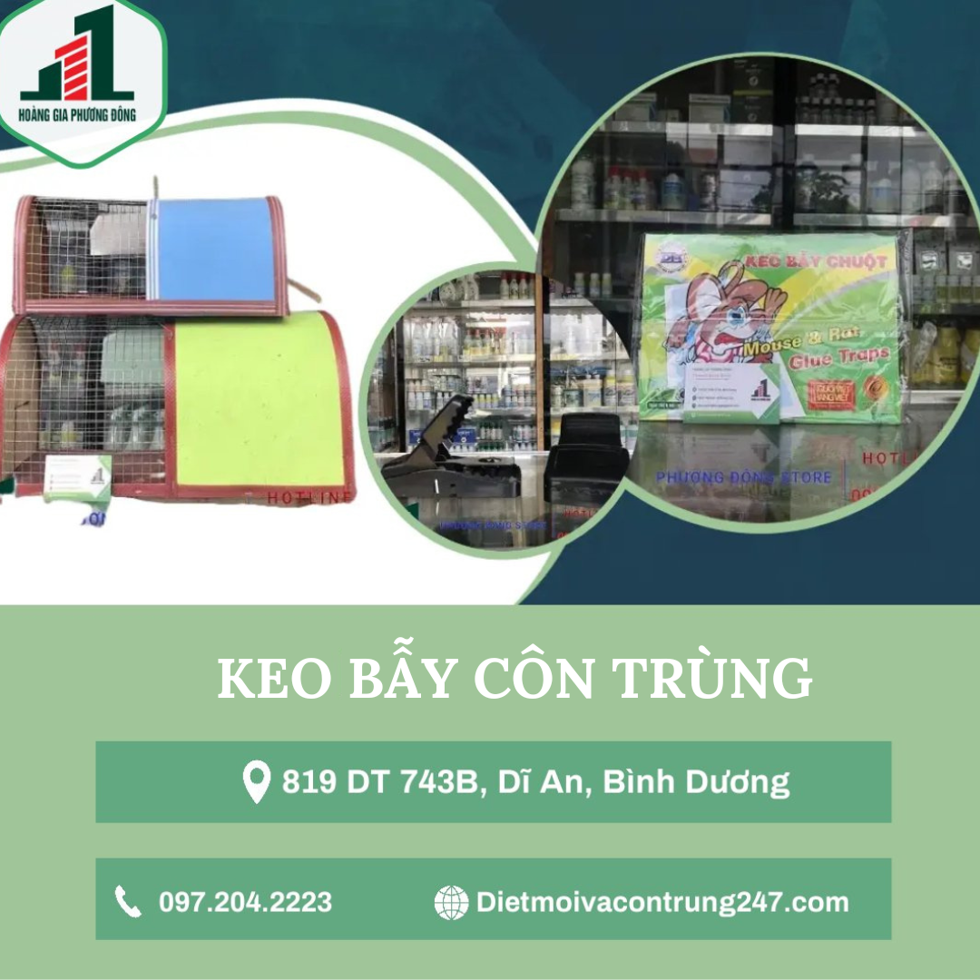 Keo bẫy côn trùng